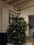 P1000047.JPG