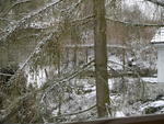P1000401.JPG