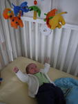 P1000459.JPG