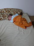 P1000477.JPG