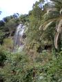 DSCN0654