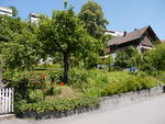 P1010002.JPG