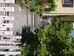 P1010003.JPG