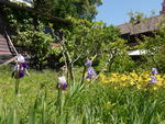 P1010007.JPG