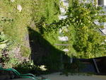 P1010009.JPG