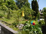 P1010012.JPG