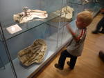 P1010324.JPG