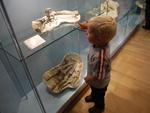 P1010325.JPG