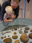 P1010329.JPG